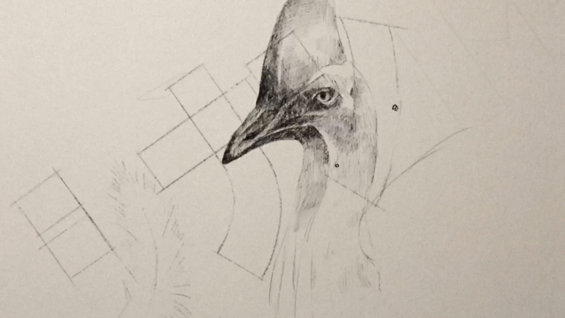 『シナントロープ』オープニングテーマ | 柴田聡子 & Elle Teresa「ときめき探偵 feat. Le Makeup」